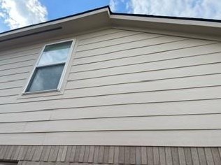 Splendid Family House